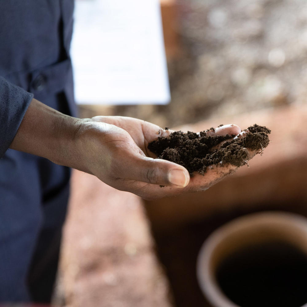 Vers une résilience durable