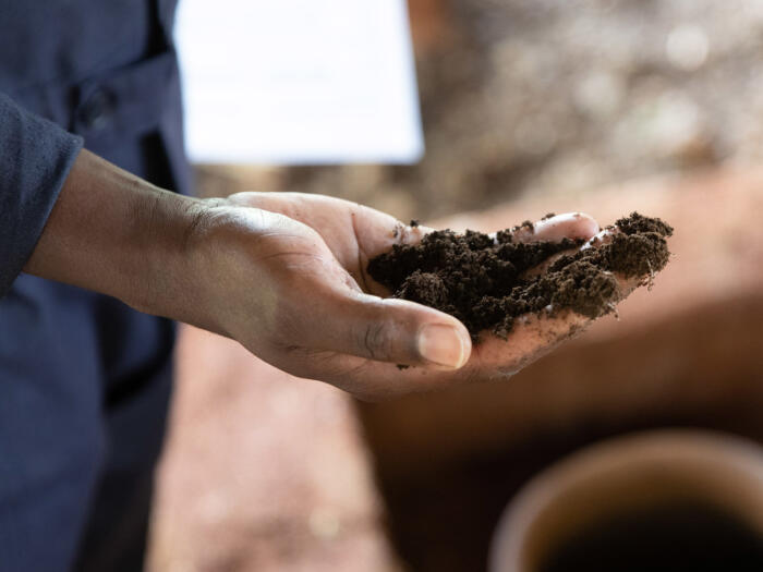 Vers une résilience durable
