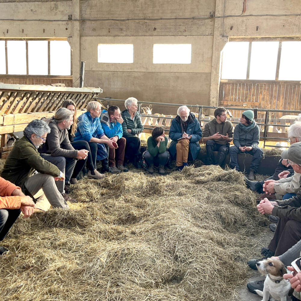 Comptabilité du coût réel en biodynamie