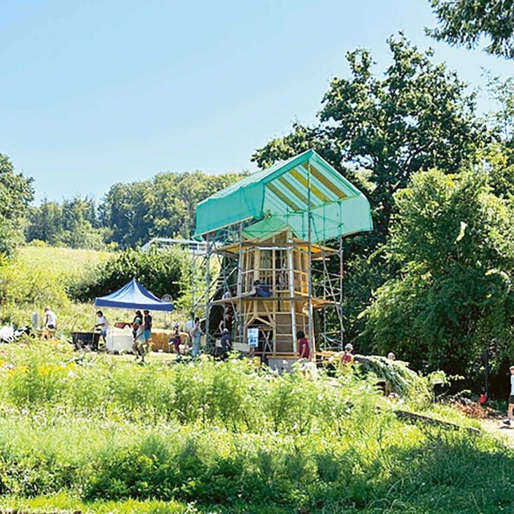 Where the Bees Live