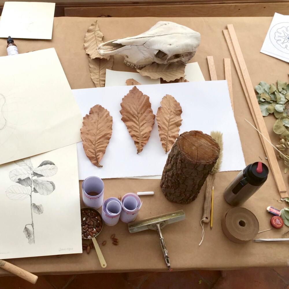 When Science and Art Play Together