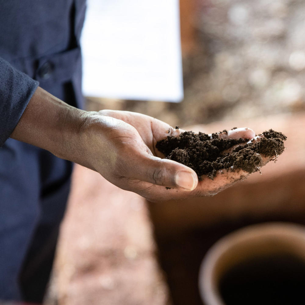 Beyond resilience: Section for Agriculture compiles research results