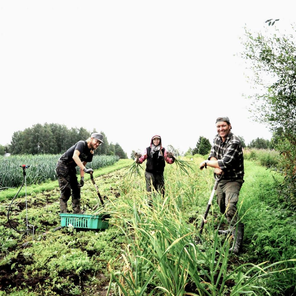 Climate, resilience and health are topics at the heart of the Section for Agriculture