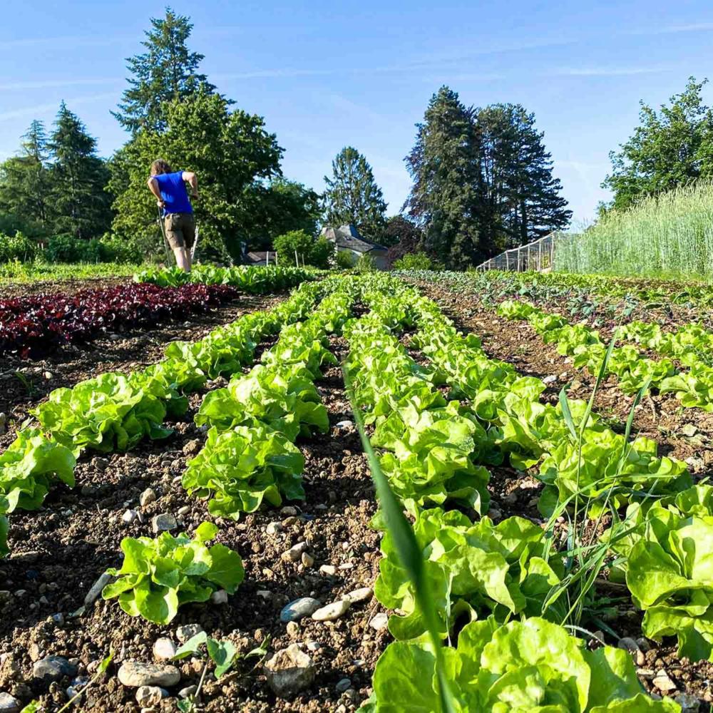« Une agriculture sans pesticides est possible ! »