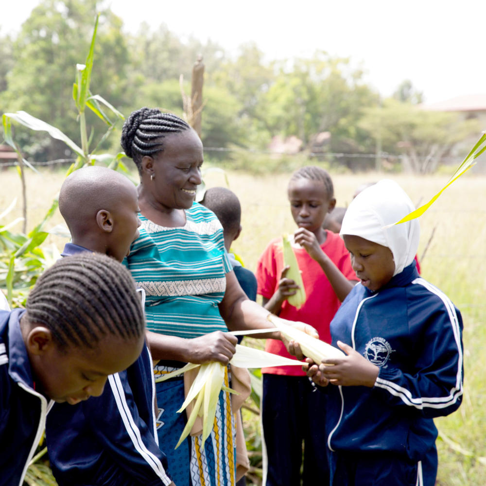 ‘Living Farms’ illustrates how Steiner School in Kenya applies biodynamic farming