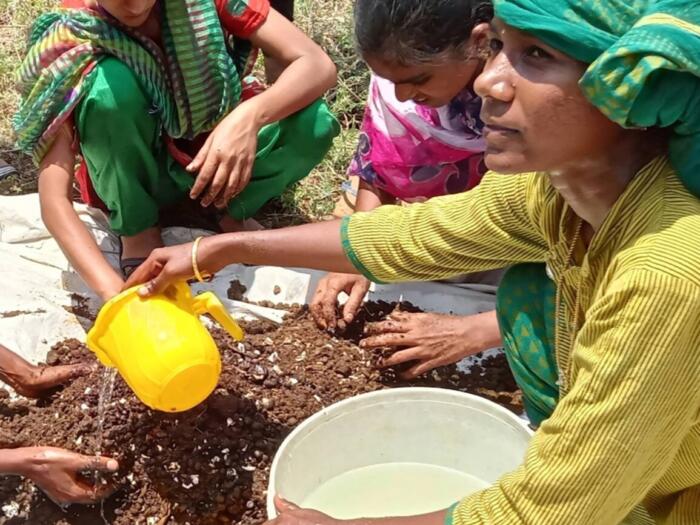 Les méthodes de culture durable comme la biodynamie ont du succès dans le monde entier