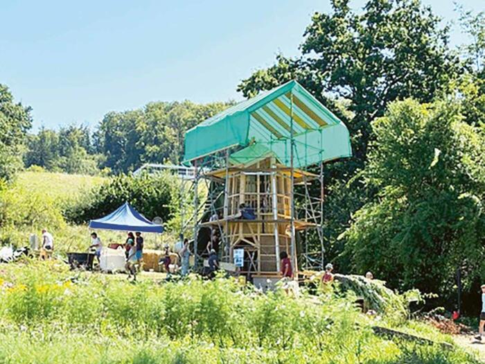 Where the Bees Live