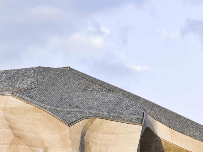 Perspektiven der Hochschule und des Goetheanum