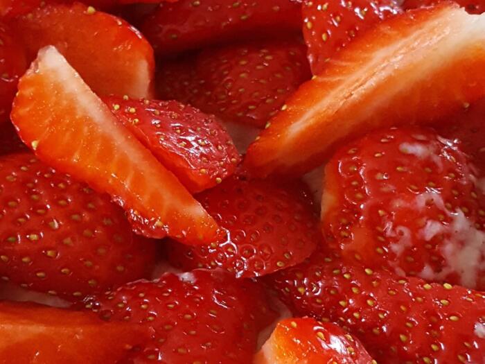 Du système alimentaire à l‘organisme alimentaire : une brochure de Jasmin Peschke