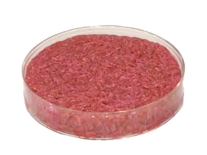 Meat and Milk from the Laboratory?