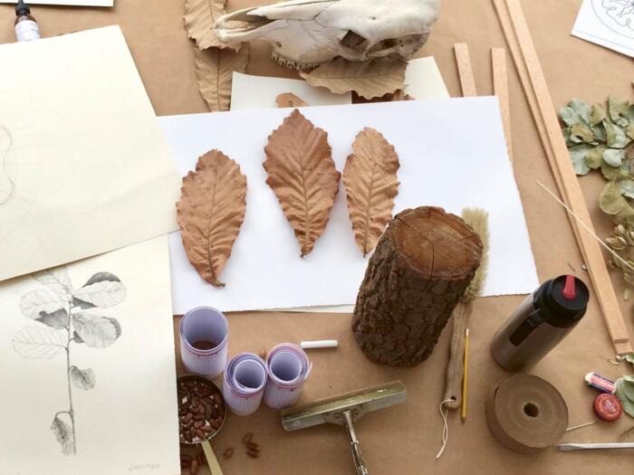 When Science and Art Play Together