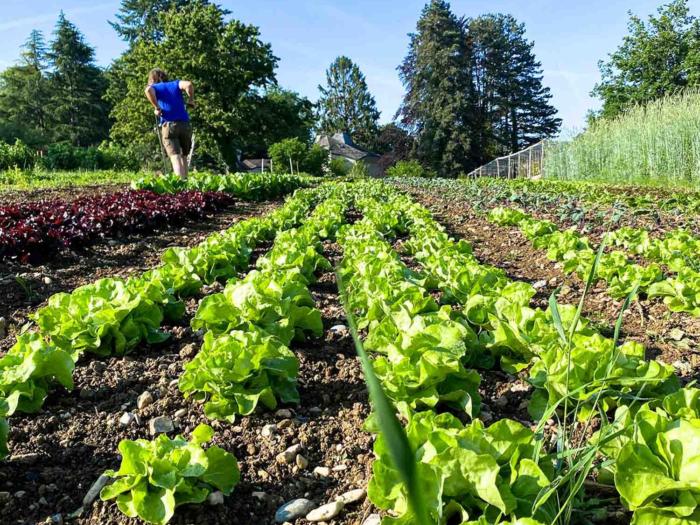 « Une agriculture sans pesticides est possible ! »
