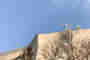 Le Goetheanum avance-t-il ?
