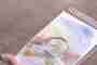 A New Art Study Year at the Goetheanum