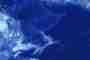 Towards a New Anthropocene