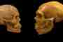 Homo Sapiens and Their Companions