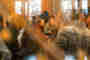 Bilder einer Tagung