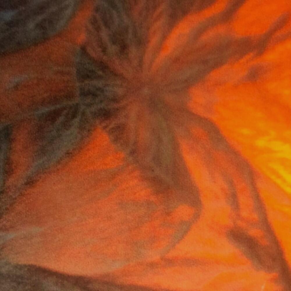 Wärme – Keim der Verbindung