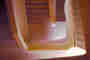 Order ‹Anthroposophy Worldwide›